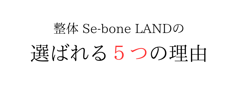 整体Se-bone LAND 中目黒 肩こり 腰痛 頭痛 姿勢 骨盤 目黒区 都内 東京 膝痛 脊柱管狭窄症 ヘルニア 捻挫 歪み 個室 根本治療