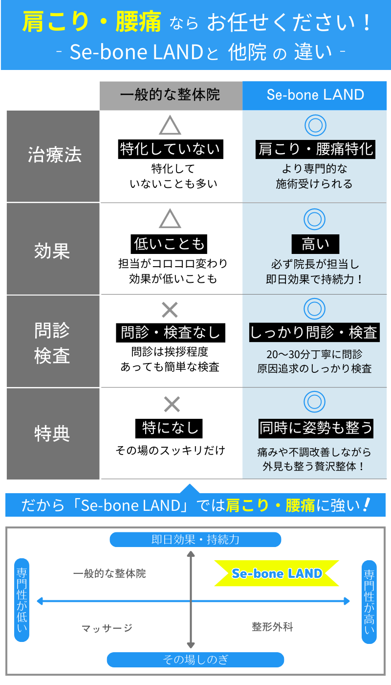 整体Se-bone LAND 中目黒 肩こり 腰痛 頭痛 姿勢 骨盤 目黒区 都内 東京 膝痛 脊柱管狭窄症 ヘルニア 捻挫 歪み 個室 根本治療